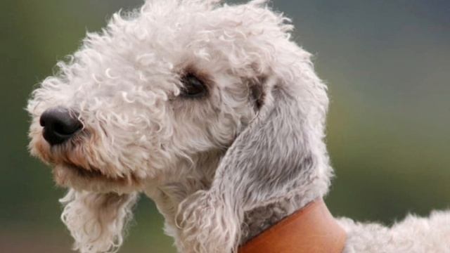 На ещё похавайте