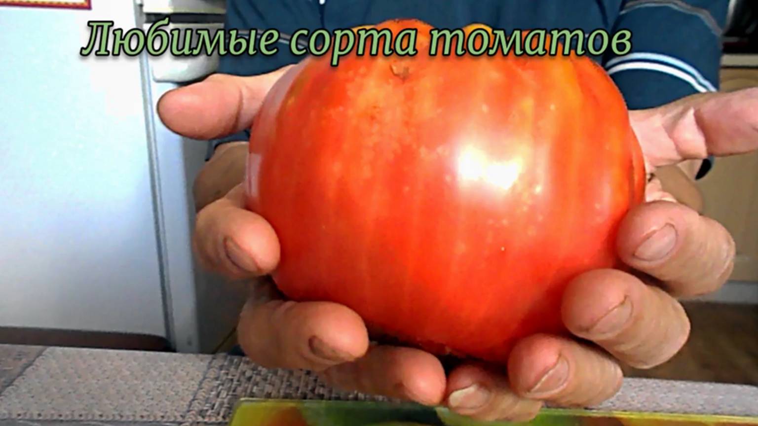 ЛЮБИМЫЕ СОРТА ТОМАТОВ