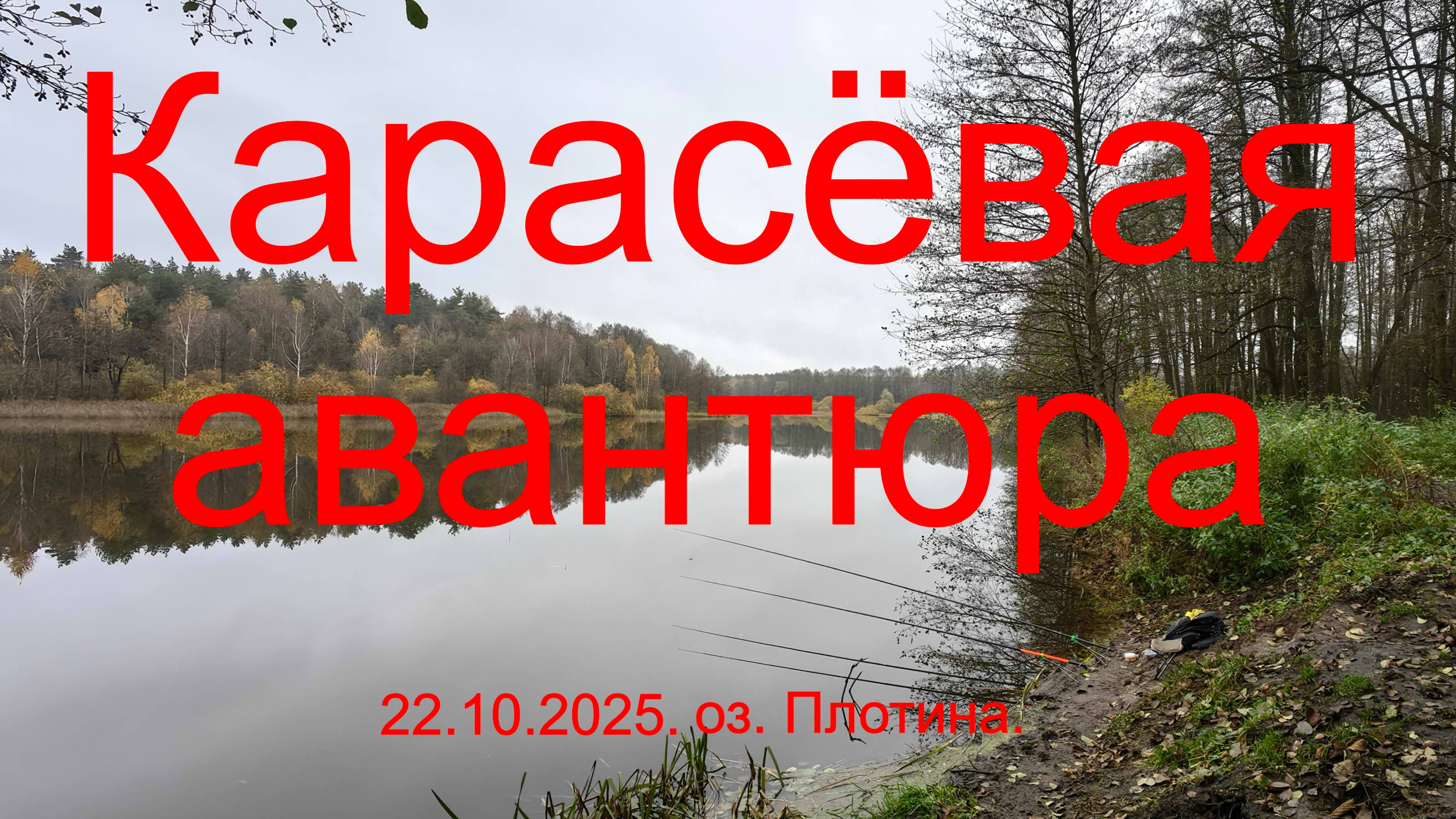 Карасёвая авантюра или поработал мусорщиком. 22.10.2025. Озеро Плотина. Рыбалка в Подмосковье.