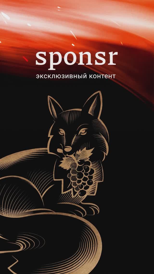 🤝SPONSR-твоя платформа платного контента! #шортс #монетизация #sponsr #платныйконтент