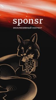 🤝SPONSR-твоя платформа платного контента! #шортс #монетизация #sponsr #платныйконтент