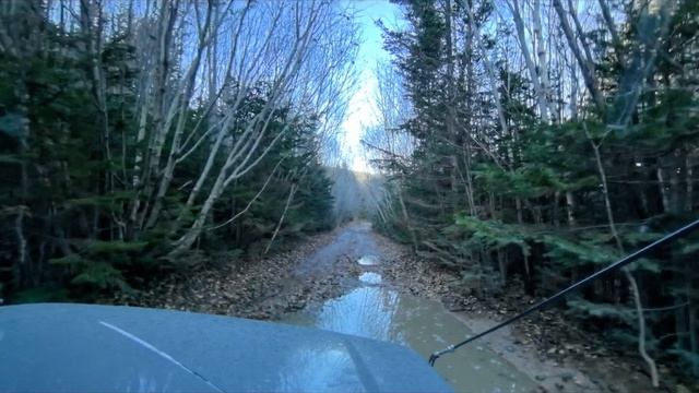 lv_0_20251104012942.mp4