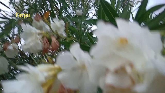 КАКАЯ ОСЕНЬ,ПОСМОТРИ!