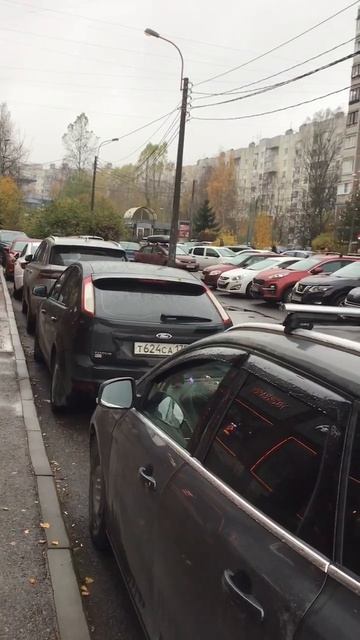 Санкт-Петербург. 04.11.2025. Последний месяц осени, проспект Энгельса. Эпизод 4