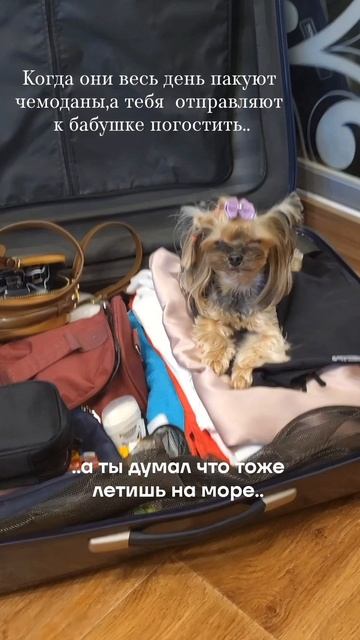 Путешествие не удалось..