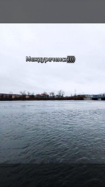 люблю свой город