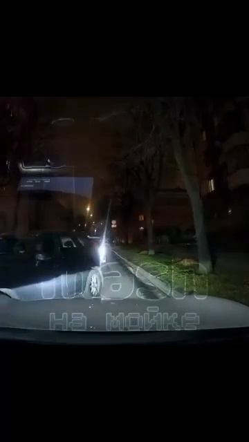 Клип @avariya_live