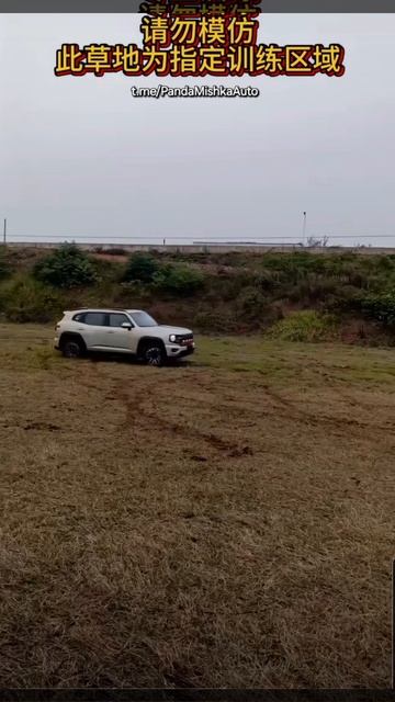 Haval H7 исполняет жука