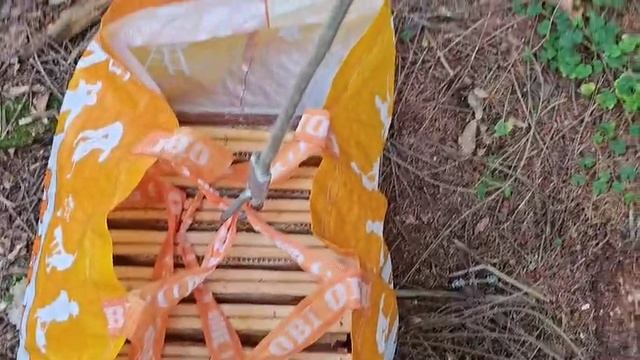 Мед из Культурной борти