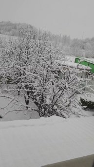 31 декабря 2024.