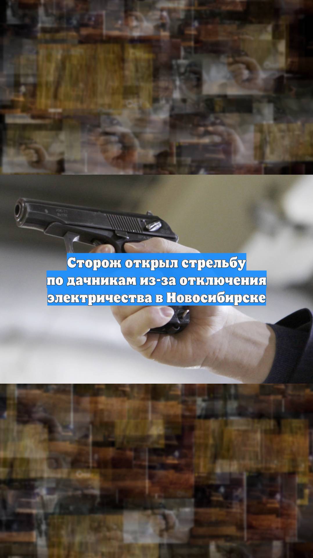 Сторож открыл стрельбу по дачникам из-за отключения электричества в Новосибирске