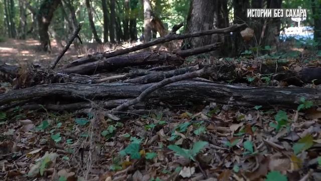 Максибудни Абобо.Жизнь.