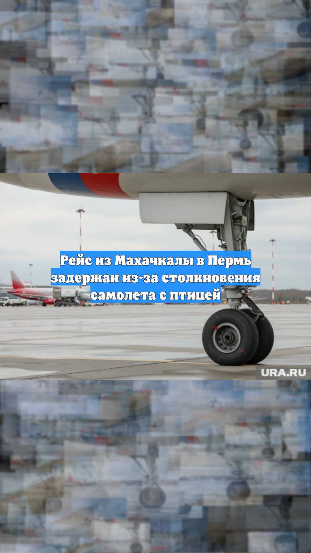 Рейс из Махачкалы в Пермь задержан из-за столкновения самолета с птицей
