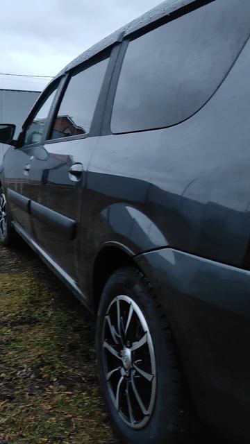 красивый цвет Лада ЛАРГУС