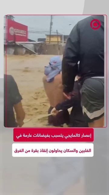 فيضانات في الفلبين ومساعي السكان لإنقاذ بقرة