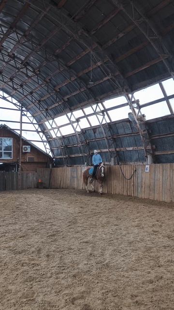 Оксана Новикова и Дольче Вита, галоп по стенке в манеже.