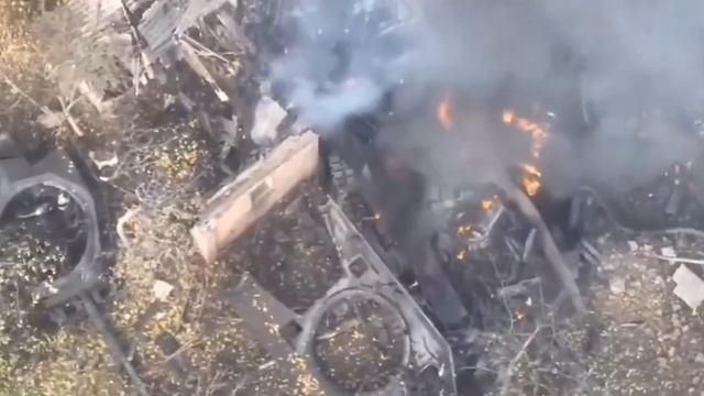 Леопард одиноко горит в поле.