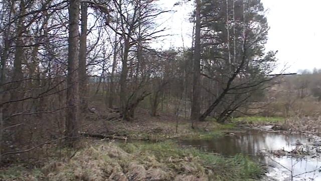 Исследование экологичности участка реки Городня района Бирюлево ЮАО Москвы