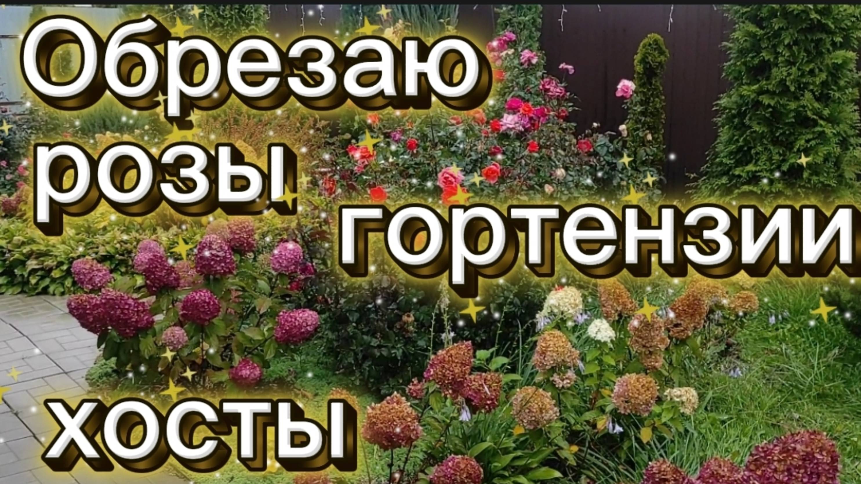 Обрезаю розы и гортензии. Изменения на участке за 2 недели.