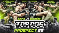 TOP DOG: PROSPECT 29, г. Орёл | Моисей VS Барс, Остап VS Призрак