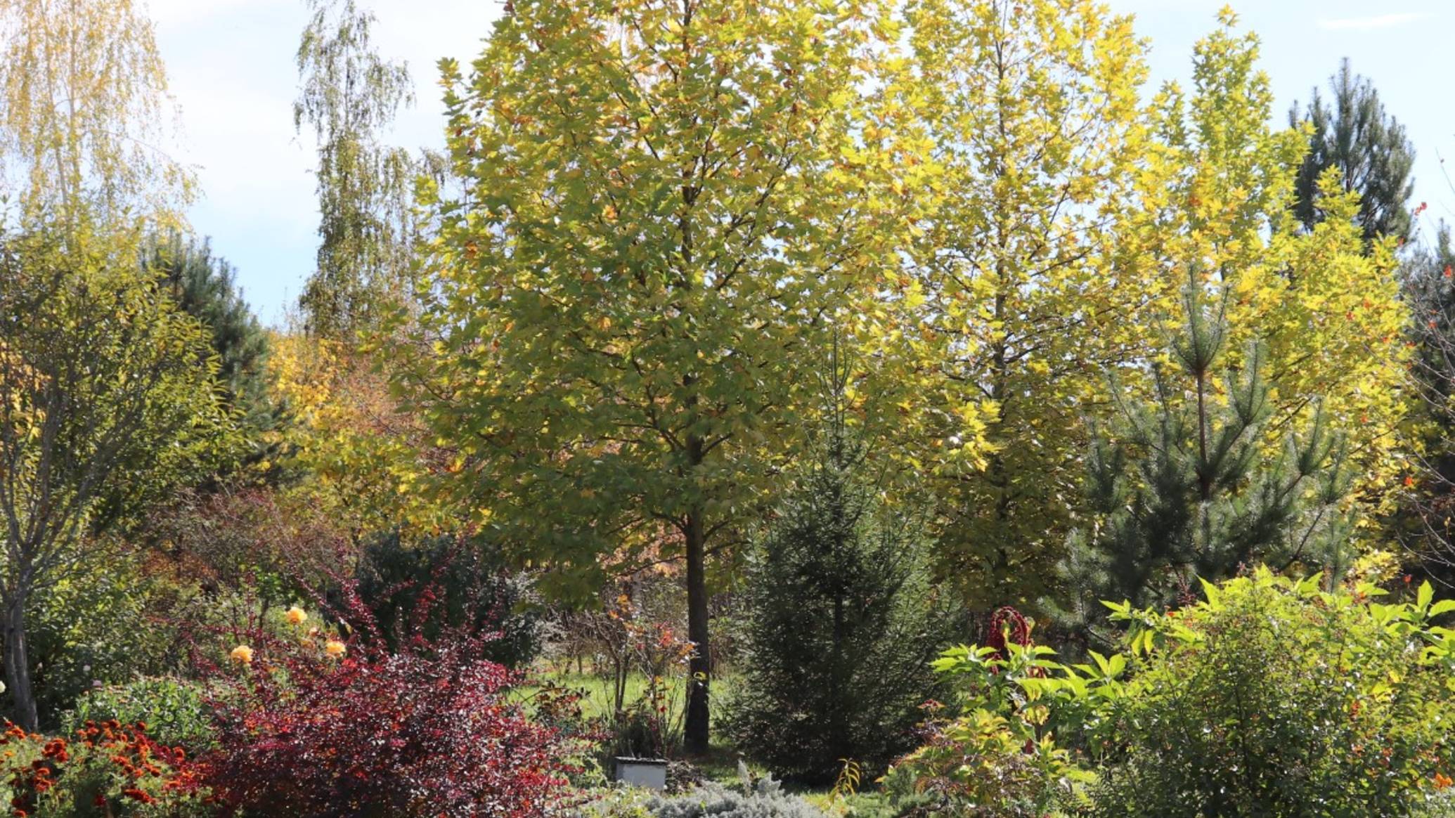 Осень на поместье Писаревых в Ведруссии.