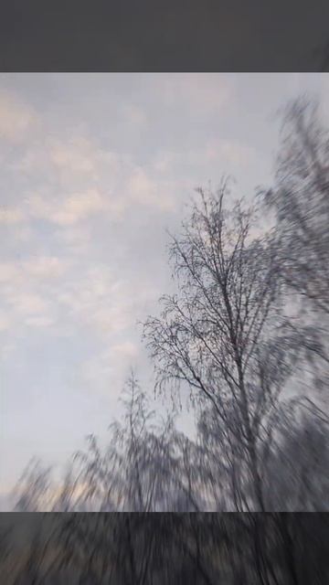 зима ворожея