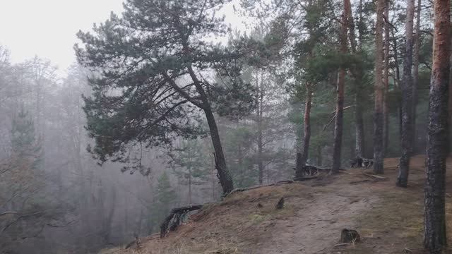 Бедность по собственному желанию