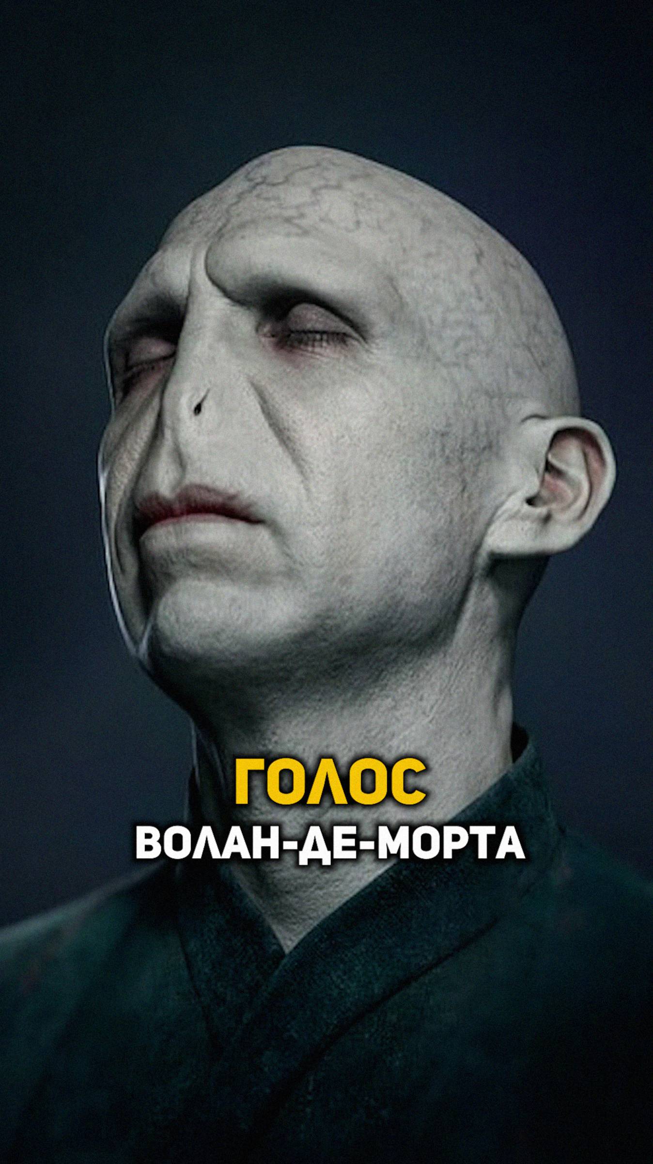 Голос Волан-де-Морта #shorts #гаррипоттер
