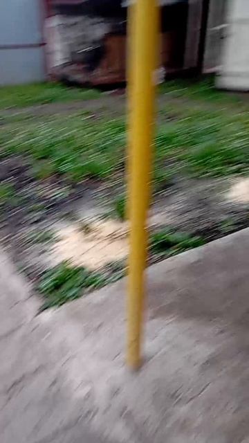 одели кустарники))