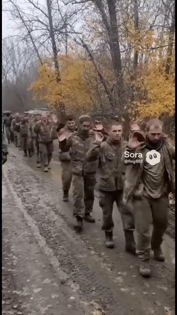 Боевики ВСУ сдались в плен в Красноармейске