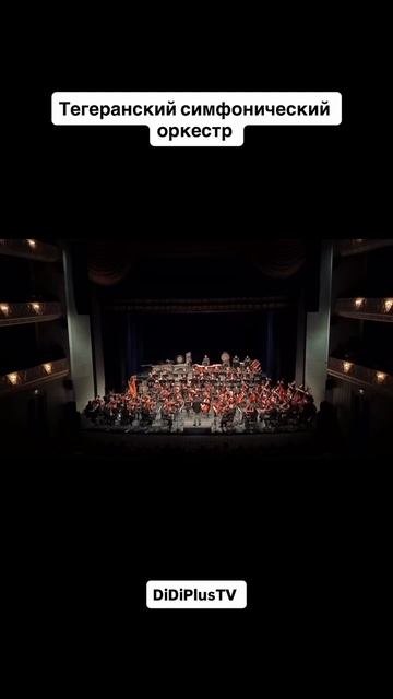Тегеранский симфонический оркестр. Tehran Symphony Orchestra. #didiplustv
