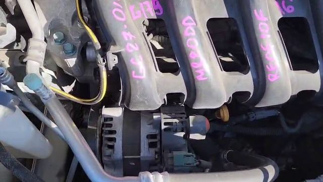 WhatsApp Video 2025-11-04 at 15.24.23