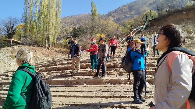 Племя людское