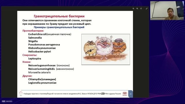 Антибиотики