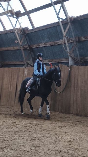 Вика и Рокас Вэлл, строевая рысь по стенке в манеже.