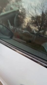 ДОСТАВКА АВТОМОБИЛЕЙ ИЗ БИШКЕКА И КИТАЯ