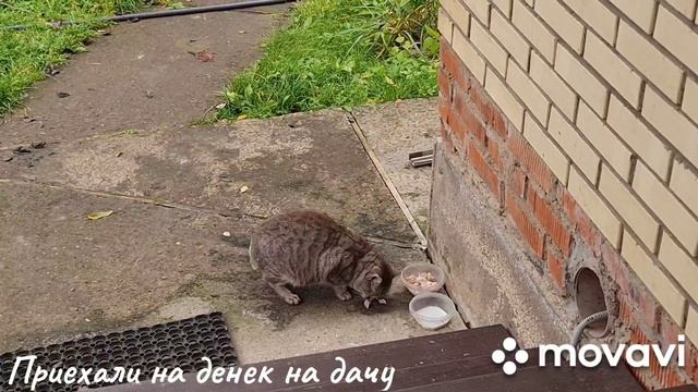 Приехали на денек, сменить колеса.