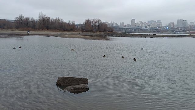 Народное единство 04.11.25