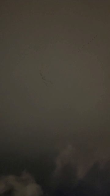 гуси лебеди