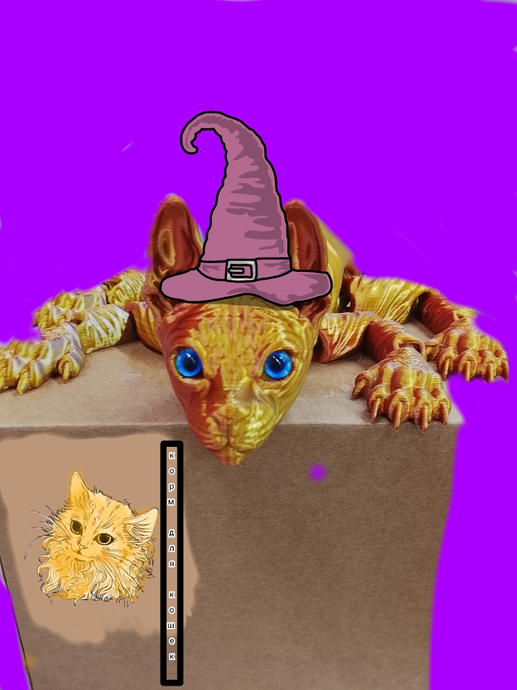 общается с подписчиками