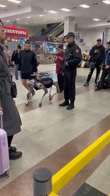 Робот полицейский в Домодедово