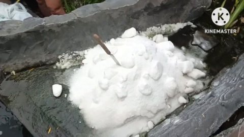 Лечим форель в домашнем пруду