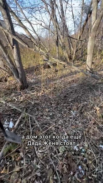 Время и природа берут свое. Сахалин, Дуэ, ул. Флотская. #сахалин