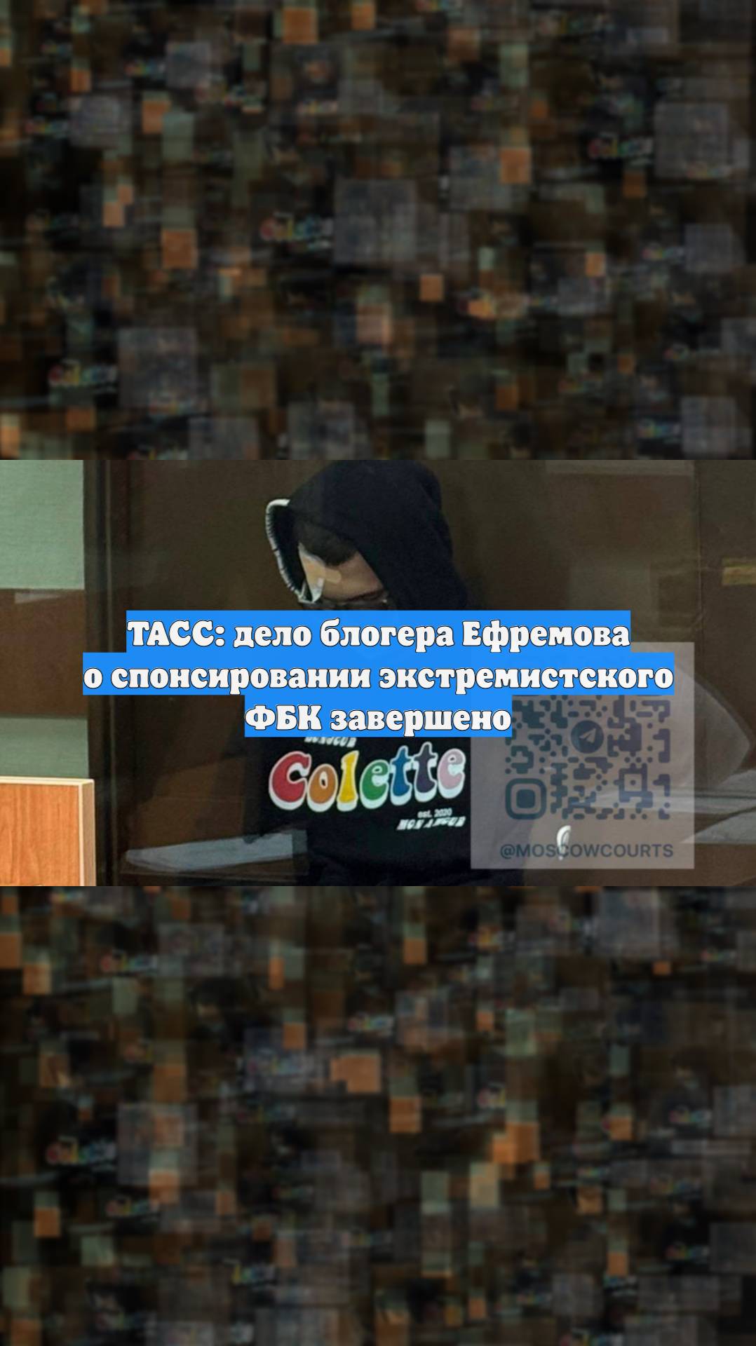 ТАСС: дело блогера Ефремова о спонсировании экстремистского ФБК завершено