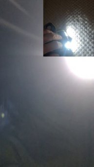 Бег по ночному лесу.