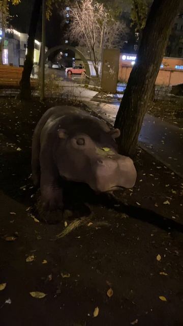 Осенние бегемоты в Москве.