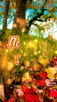 video_10437842048470.mp4