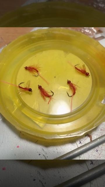 Мухи омулевые