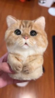 324610356_715233156827705_1856372383606150973_n