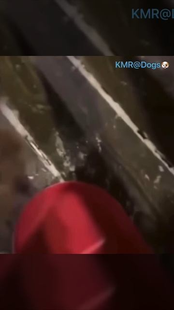 Любишь кататься, люби ледяночку носить😂